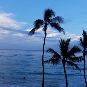 Meet your Posher, Cait